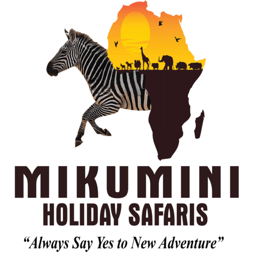 Mikumi Holiday Safaris