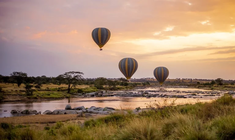 Serengeti Ballon 1