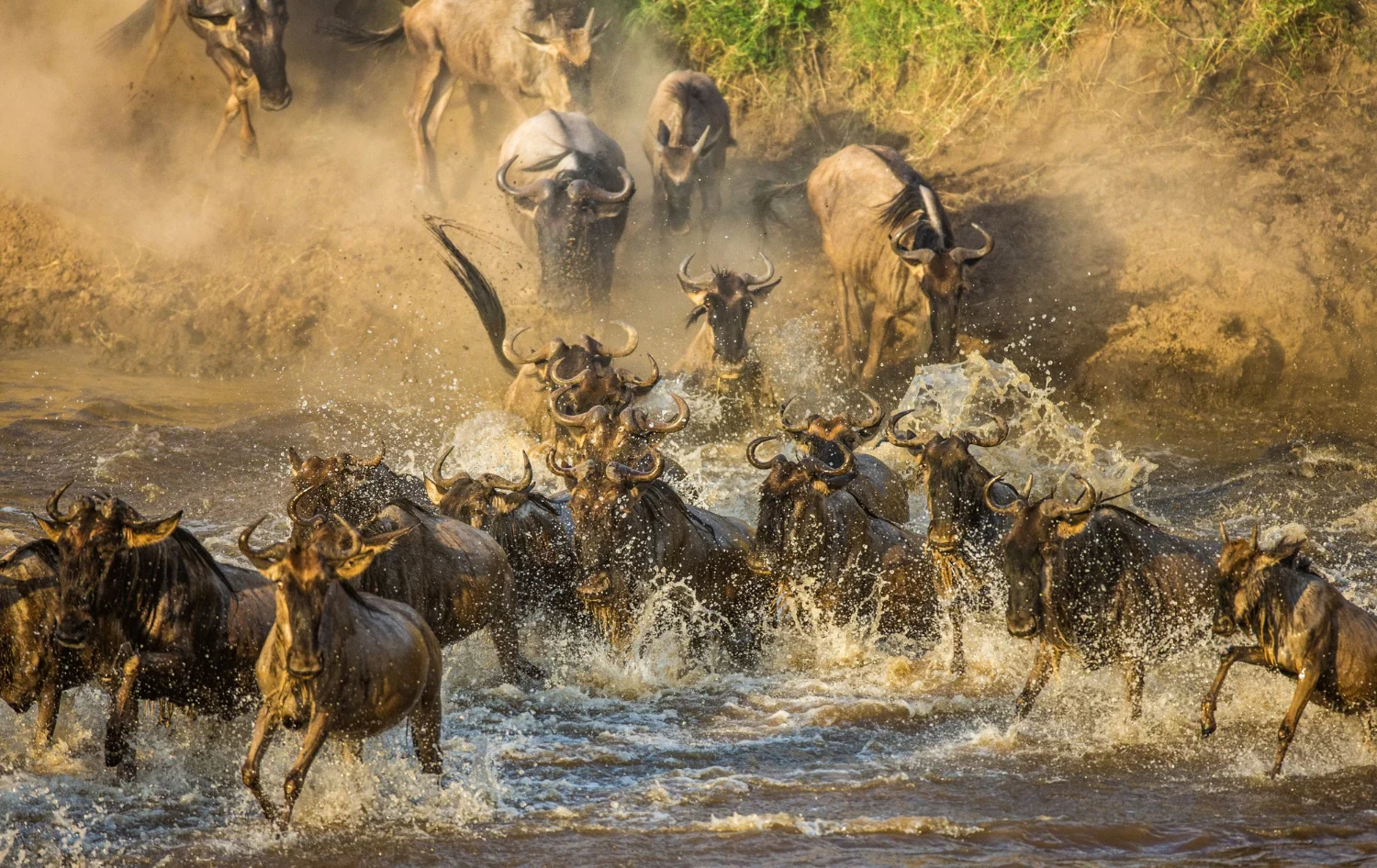 the great migration 5