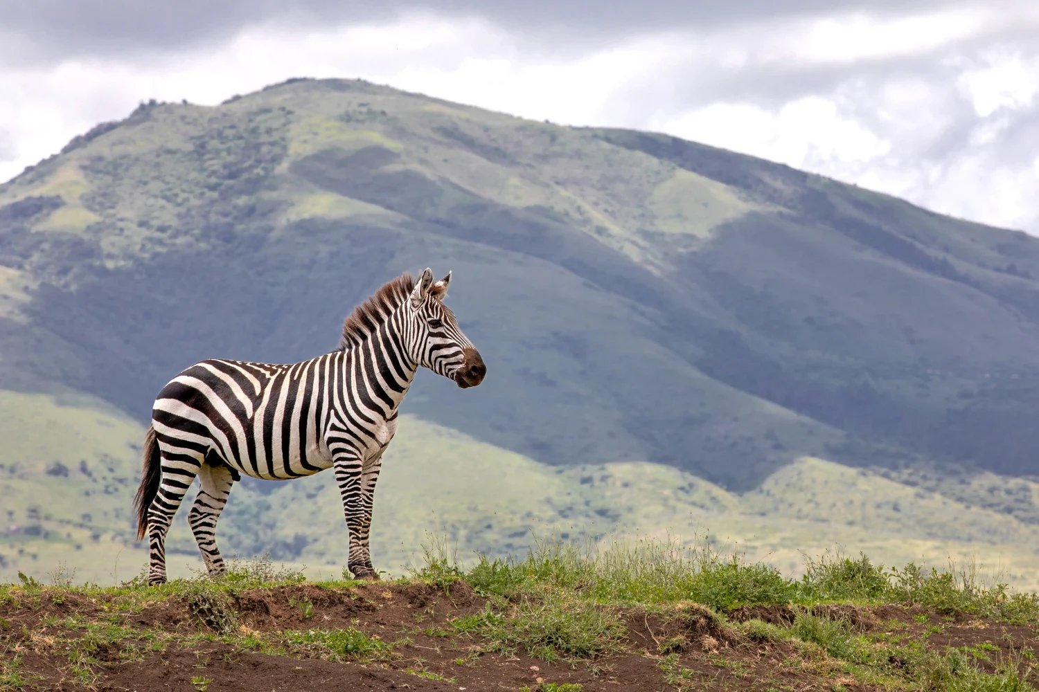 Ngorongoro Crater 2