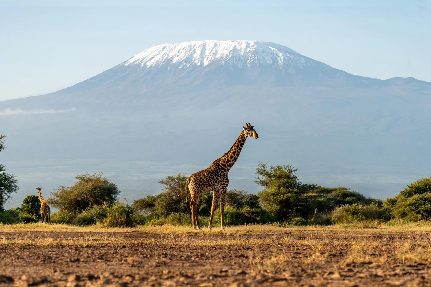 Kilimanjaro Mountain Africa 1
