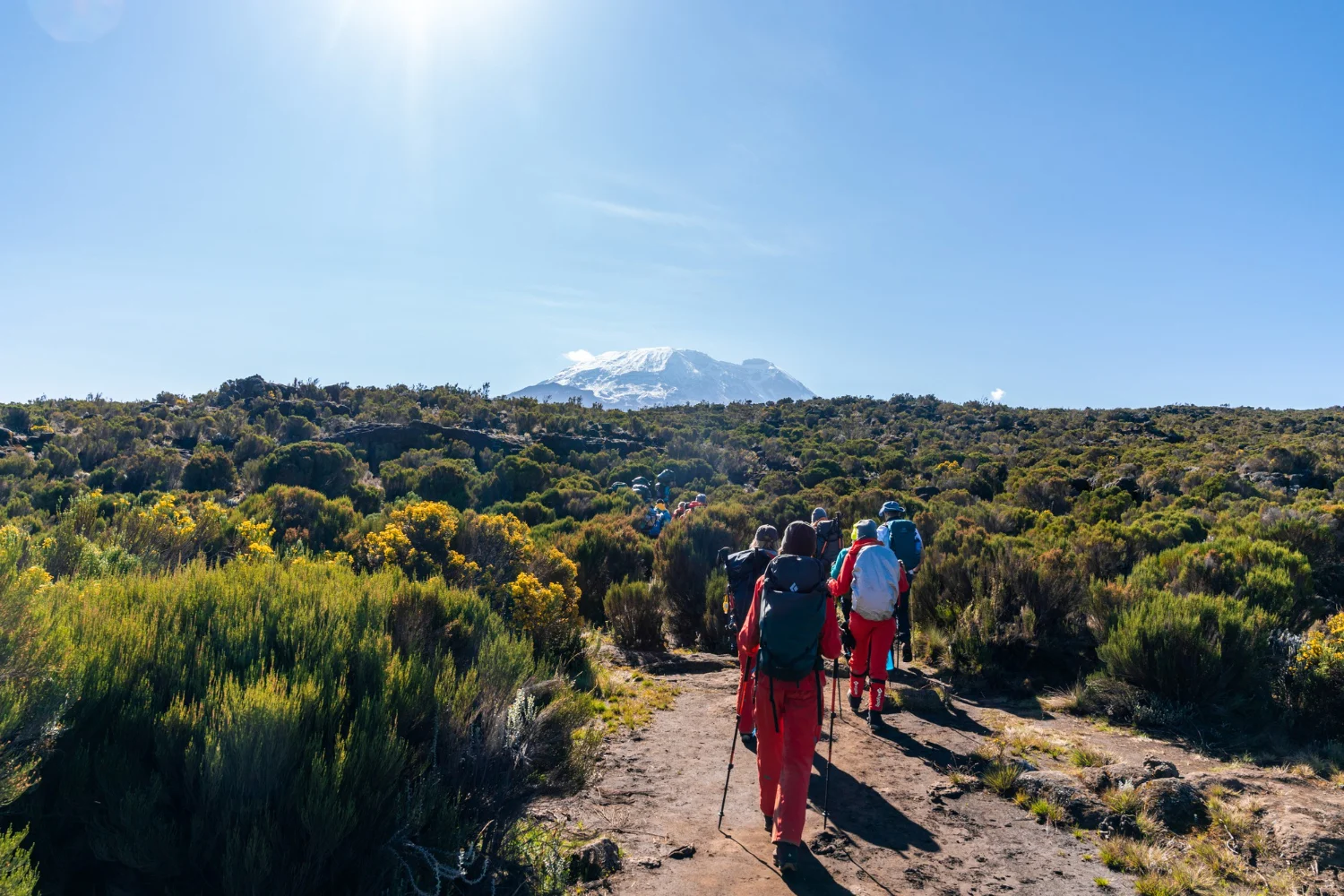 Kilimanjaro Mountain Africa 10