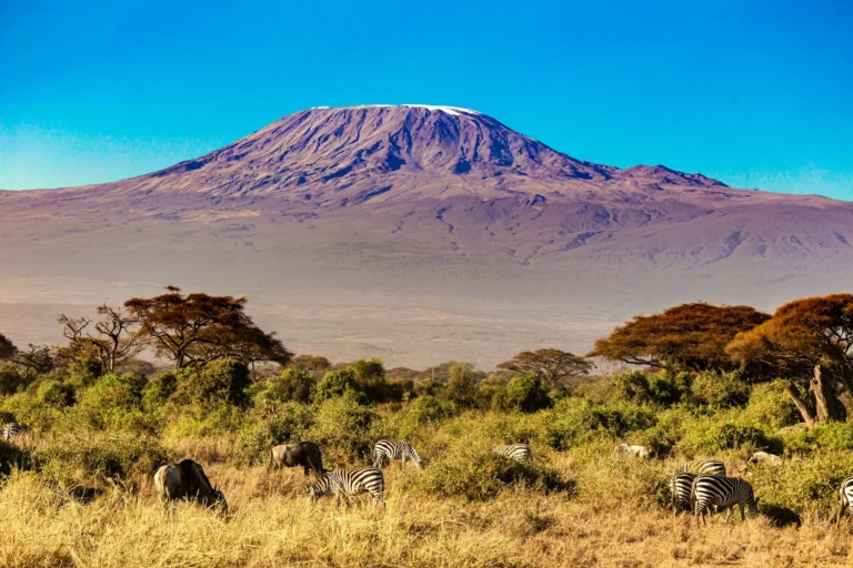 Mt__Kilimanjaro (3)