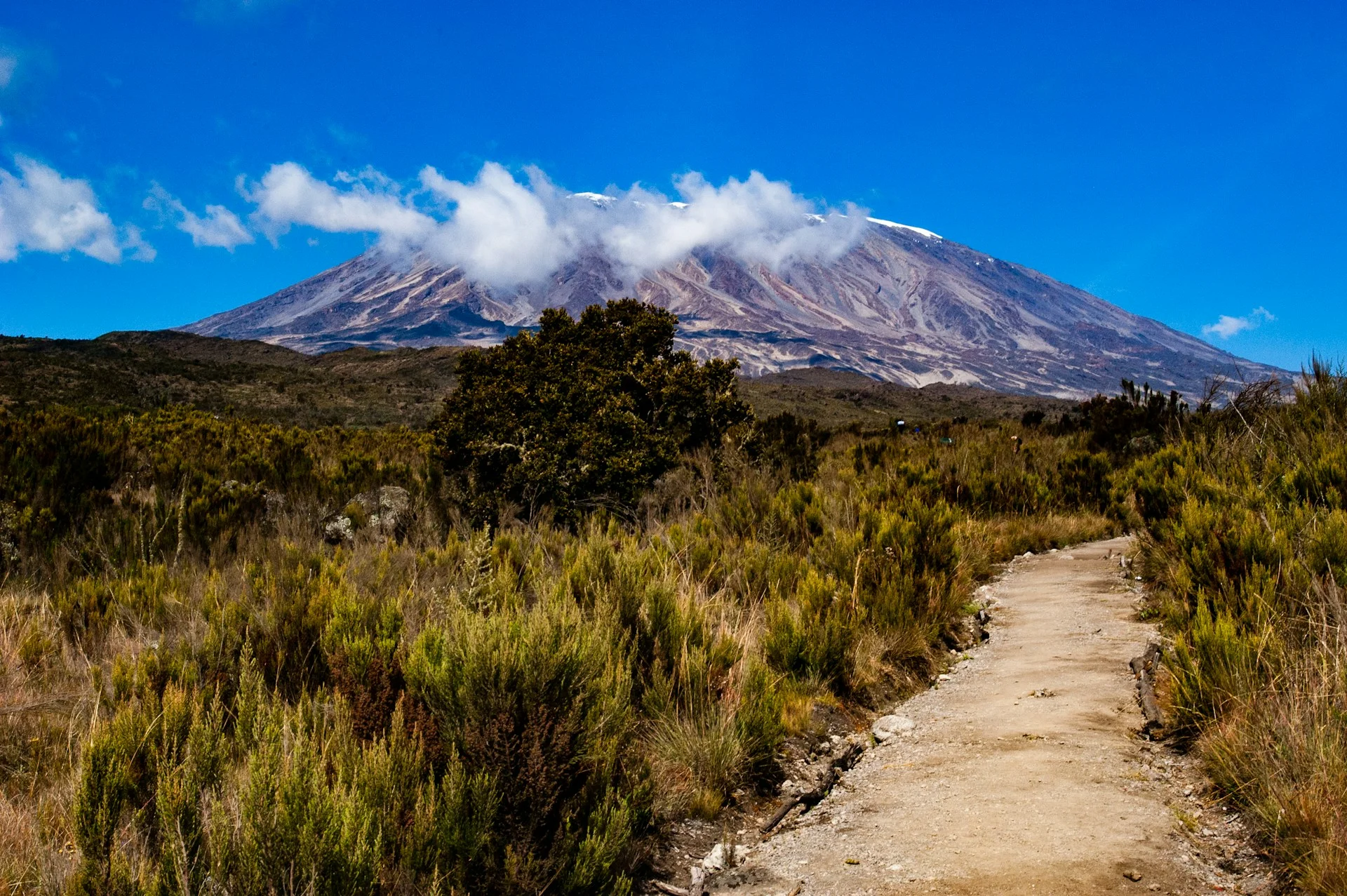 Mt Kilimanjaro 4