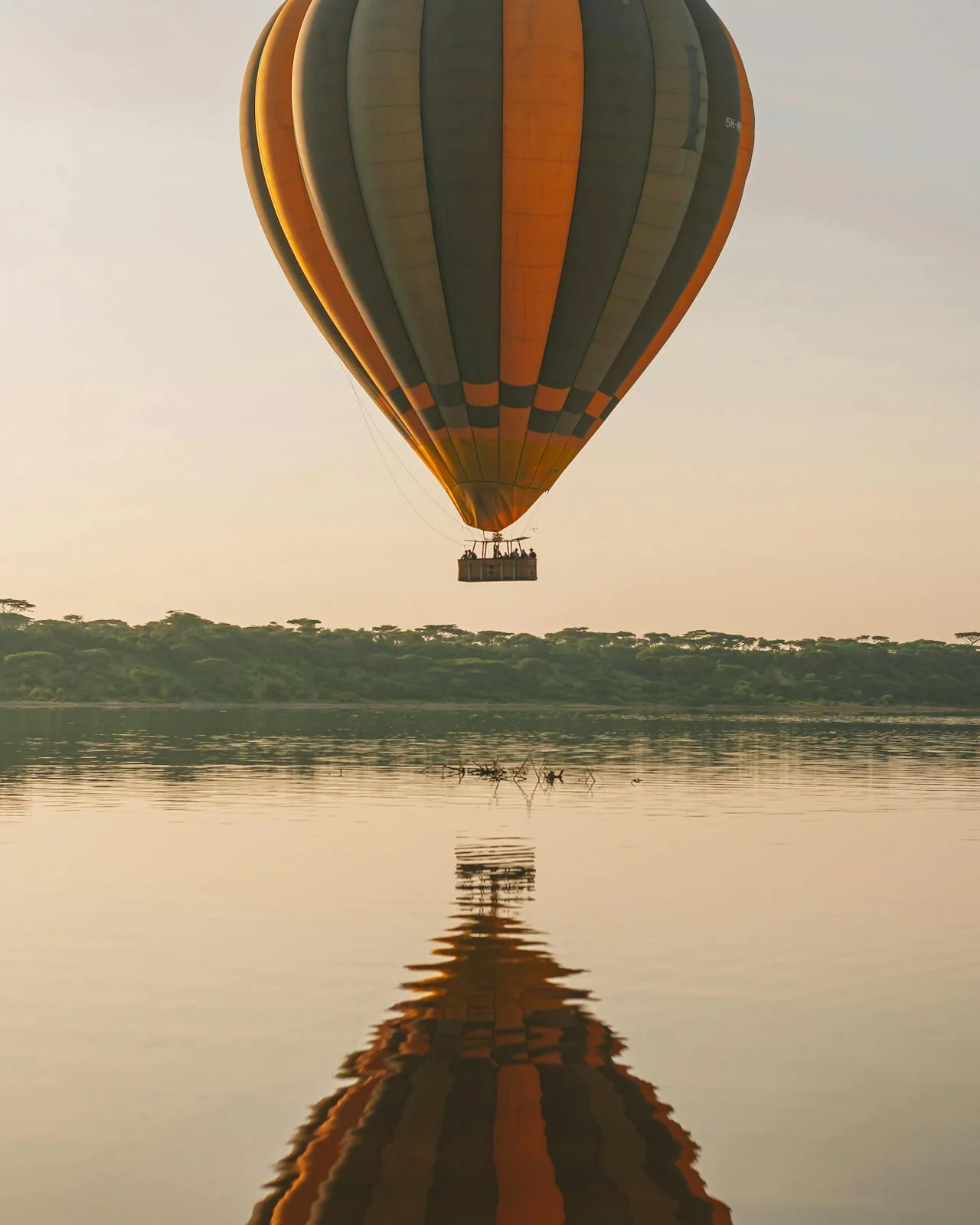 Tanzania Balloon Safari Wildlife Sky safari 2