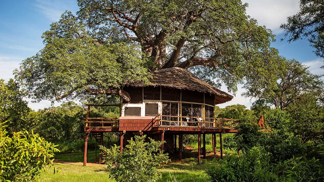 Tarangire Treetops By Elewana 1