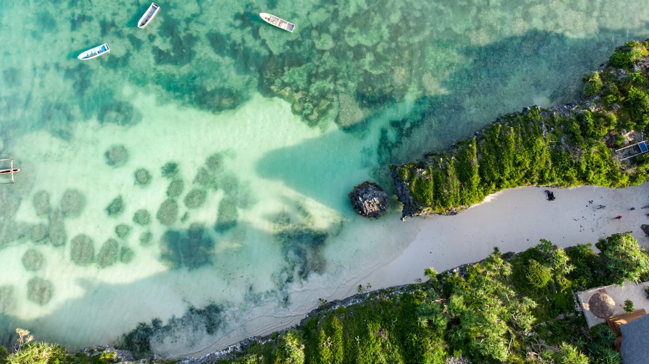 Zanzibar Tanzania Mikumi Safaris 5