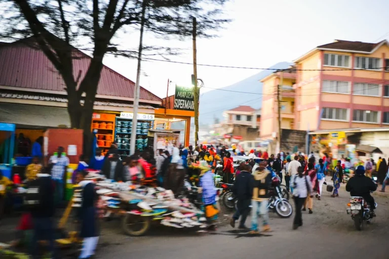 Arusha-city (1)