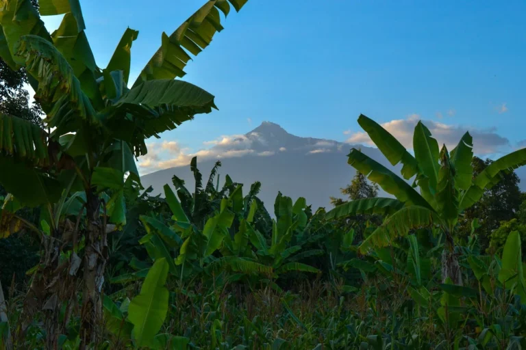 Arusha-city (3)