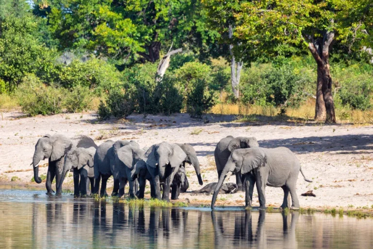 Queen Elizabeth National Park 2