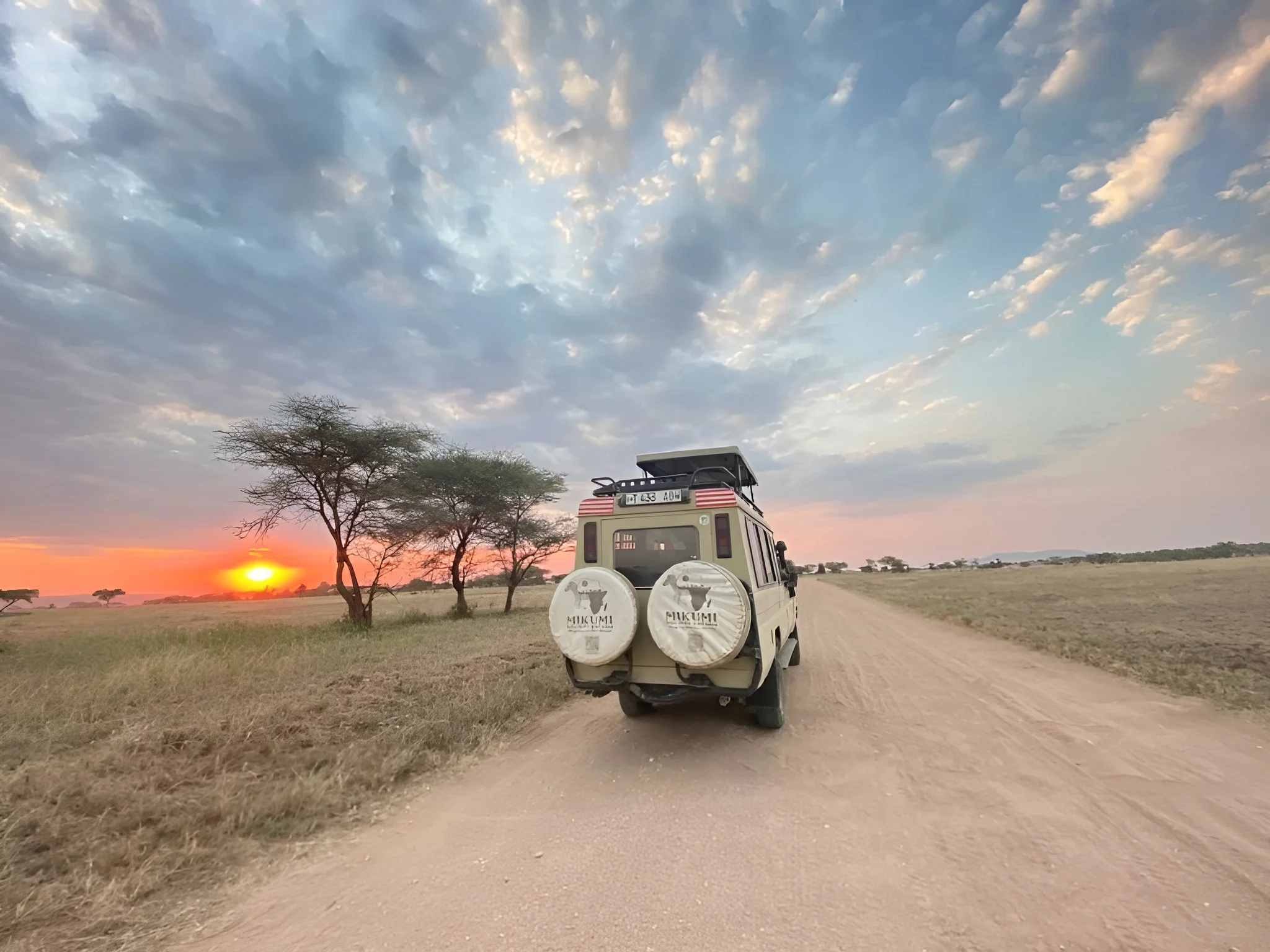 Safari vehicle on an early morning game drive in Tanzania
