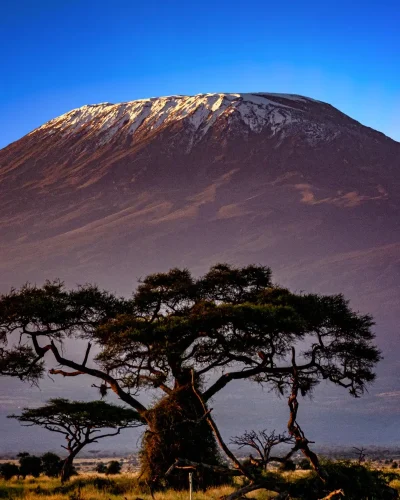 Kilimanjaro Mountain Africa (13) Kilimanjaro Mountain Africa (13)