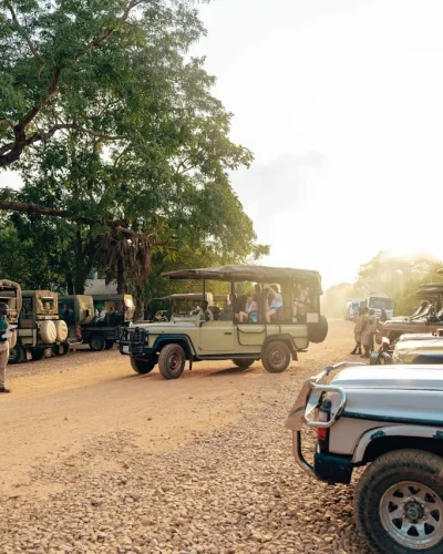 Nyerere National Park- Selous (2)