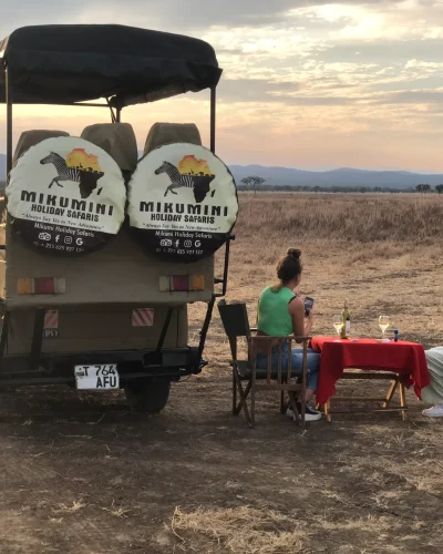 1 Day Mikumi Express Safari from Dar by SGR Train